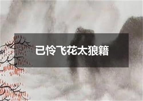 已怜飞花太狼籍