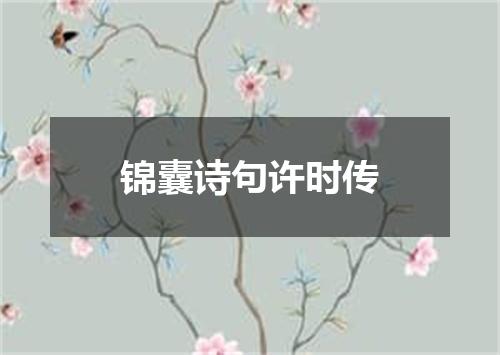 锦囊诗句许时传