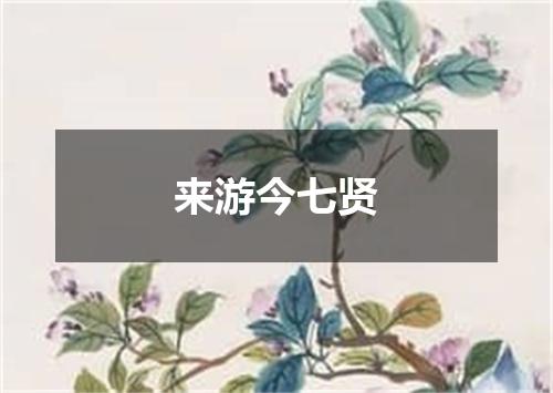 来游今七贤