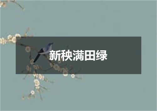 新秧满田绿