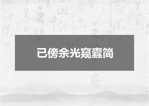 已傍余光窥蠹简