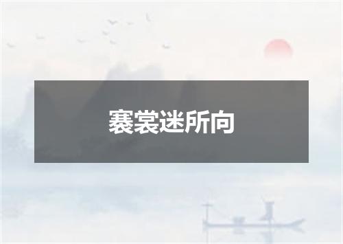 褰裳迷所向