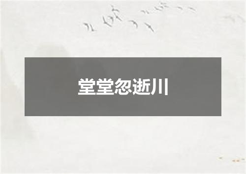 堂堂忽逝川