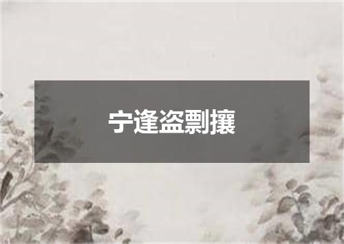 宁逢盗剽攘