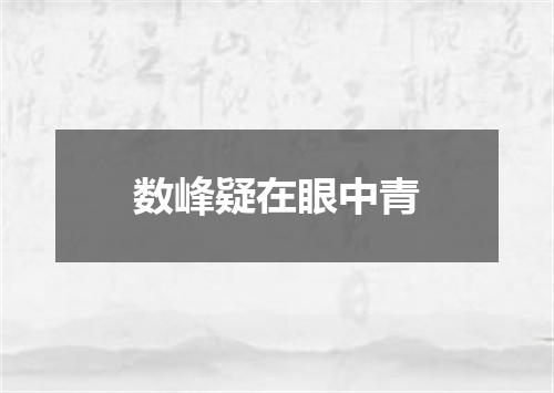 数峰疑在眼中青