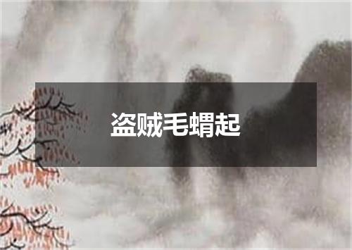盗贼毛蝟起