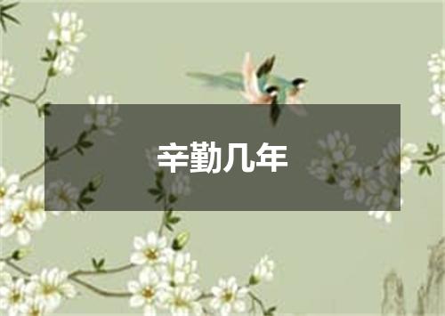 辛勤几年