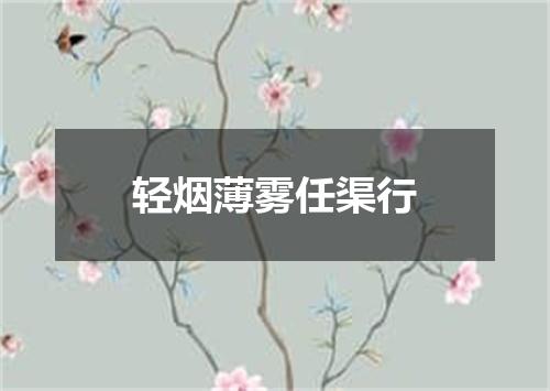 轻烟薄雾任渠行