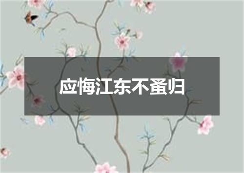 应悔江东不蚤归