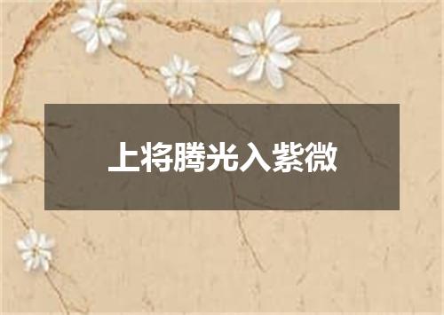 上将腾光入紫微