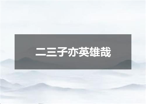 二三子亦英雄哉