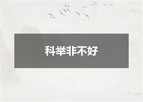 科举非不好