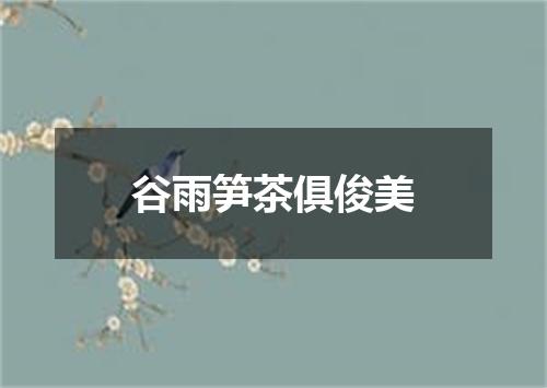 谷雨笋茶俱俊美