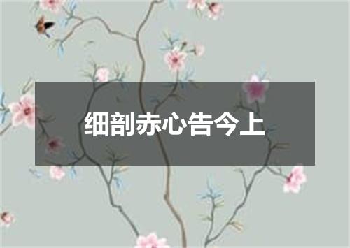 细剖赤心告今上