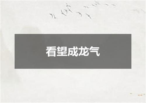 看望成龙气