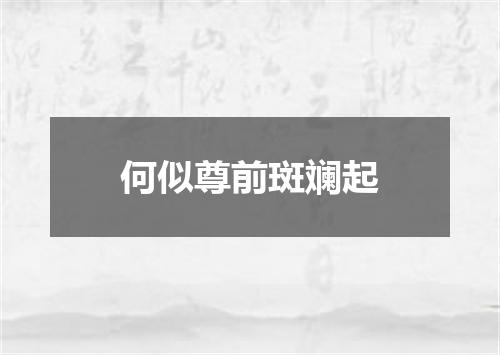 何似尊前斑斓起