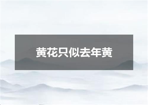 黄花只似去年黄