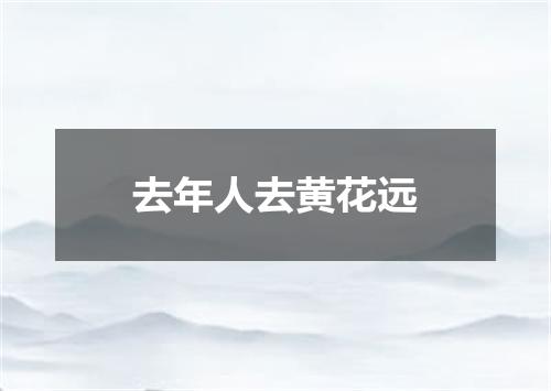 去年人去黄花远