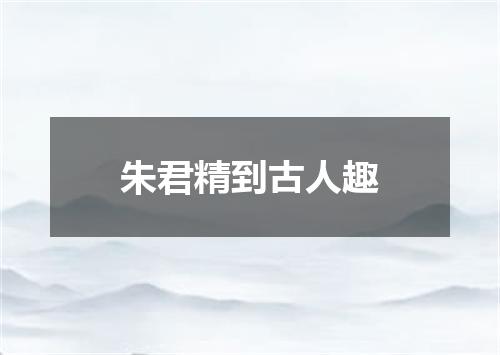 朱君精到古人趣