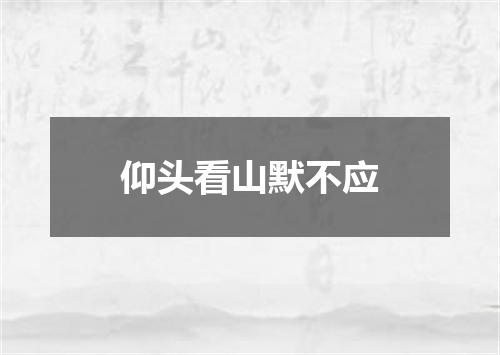 仰头看山默不应