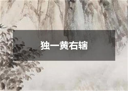 独一黄右辖