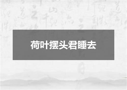 荷叶摆头君睡去