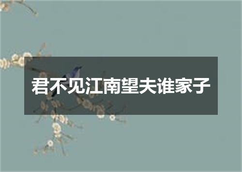 君不见江南望夫谁家子