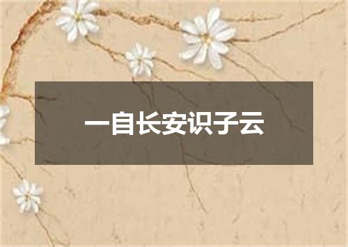 一自长安识子云