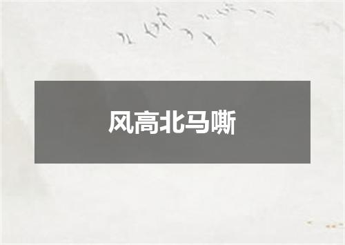 风高北马嘶