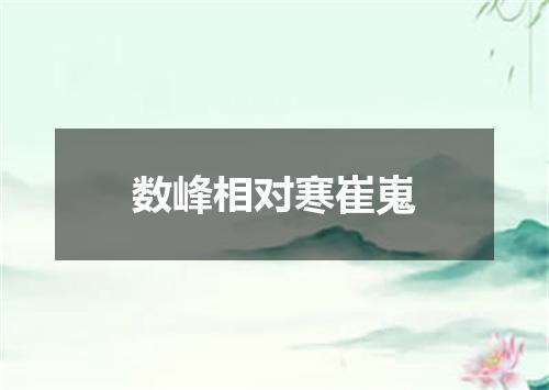 数峰相对寒崔嵬