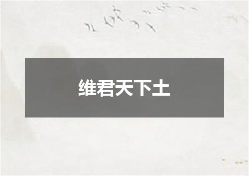 维君天下土