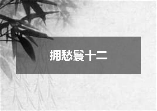 拥愁鬟十二