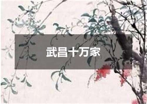 武昌十万家