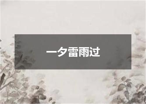 一夕雷雨过
