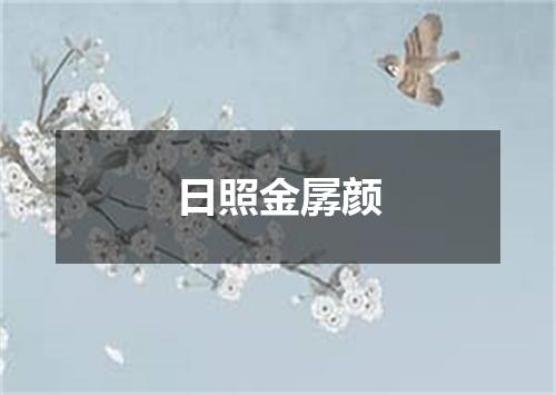 日照金孱颜