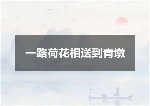 一路荷花相送到青墩