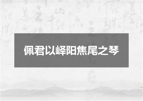 佩君以峄阳焦尾之琴