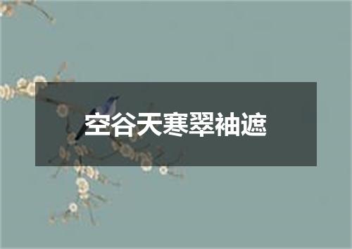 空谷天寒翠袖遮