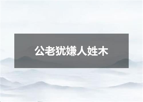 公老犹嫌人姓木