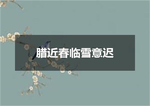 腊近春临雪意迟