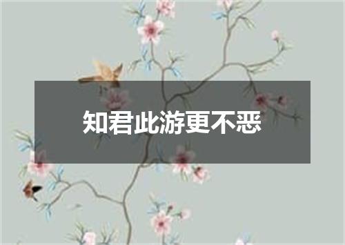 知君此游更不恶