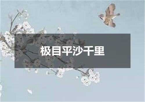极目平沙千里
