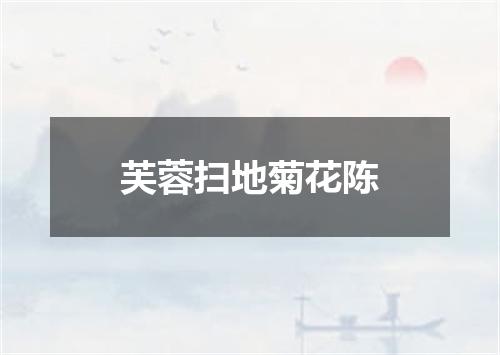 芙蓉扫地菊花陈