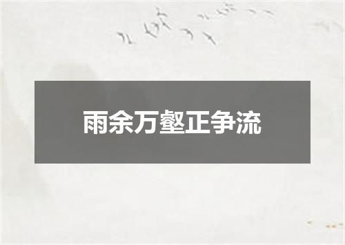 雨余万壑正争流