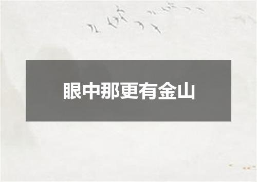 眼中那更有金山