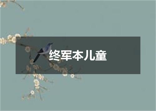 终军本儿童