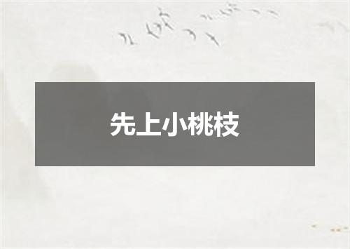 先上小桃枝