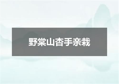 野棠山杏手亲栽