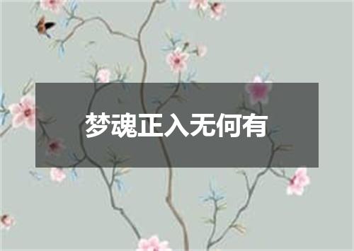 梦魂正入无何有