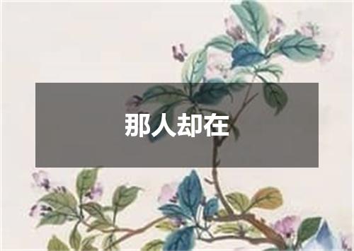 那人却在